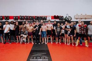 Best MMA Gyms & Training in Green Bay, WI Ultimate Guide to MMA: Training, Techniques, and Top Fighters in The World Best MMA Gyms & Training in Green Bay, WI | Ultimate Guide to MMA: Training, Techniques, and Top Fighters in The World