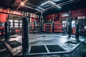 Mma Gyms Tampa Ultimate Guide to MMA: Training, Techniques, and Top Fighters in The World Mma Gyms Tampa | Ultimate Guide to MMA: Training, Techniques, and Top Fighters in The World