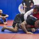 Dominate MMA Grappling: Key Techniques & Strategies | Ultimate Guide to MMA: Training, Techniques, and Top Fighters in The World