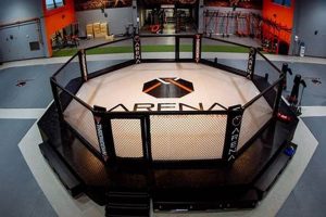 The Ultimate Guide to Arena MMA Fighting Ultimate Guide to MMA: Training, Techniques, and Top Fighters in The World The Ultimate Guide to Arena MMA Fighting | Ultimate Guide to MMA: Training, Techniques, and Top Fighters in The World