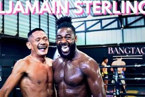 The Ultimate Guide to Funkmaster MMA Fighting | Ultimate Guide to MMA: Training, Techniques, and Top Fighters in The World