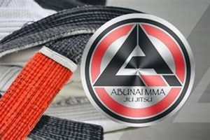 Understanding Abunai MMA: Risks & Safety | Ultimate Guide to MMA: Training, Techniques, and Top Fighters in The World