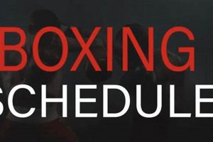 Boxing And Mma Schedule Ultimate Guide to MMA: Training, Techniques, and Top Fighters in The World Boxing And Mma Schedule | Ultimate Guide to MMA: Training, Techniques, and Top Fighters in The World