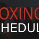 Boxing And Mma Schedule | Ultimate Guide to MMA: Training, Techniques, and Top Fighters in The World