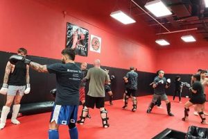 Top 5 MMA Gyms in San Antonio: Train Like a Pro Ultimate Guide to MMA: Training, Techniques, and Top Fighters in The World Top 5 MMA Gyms in San Antonio: Train Like a Pro | Ultimate Guide to MMA: Training, Techniques, and Top Fighters in The World
