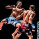 Mma Mix Martial Arts | Ultimate Guide to MMA: Training, Techniques, and Top Fighters in The World