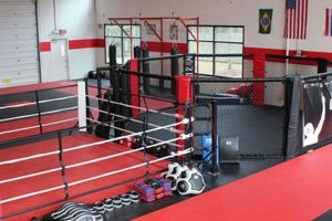 Pro MMA Rings & Cages for Sale | Shop Now Ultimate Guide to MMA: Training, Techniques, and Top Fighters in The World Pro MMA Rings & Cages for Sale | Shop Now | Ultimate Guide to MMA: Training, Techniques, and Top Fighters in The World