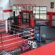 Pro MMA Rings & Cages for Sale | Shop Now | Ultimate Guide to MMA: Training, Techniques, and Top Fighters in The World