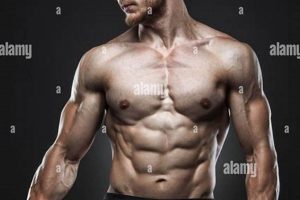 Ultimate Fight Ready MMA Fighters Training Ultimate Guide to MMA: Training, Techniques, and Top Fighters in The World Ultimate Fight Ready MMA Fighters Training | Ultimate Guide to MMA: Training, Techniques, and Top Fighters in The World