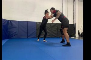 Private Mma Training Ultimate Guide to MMA: Training, Techniques, and Top Fighters in The World Private Mma Training | Ultimate Guide to MMA: Training, Techniques, and Top Fighters in The World