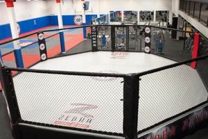 Ultimate MMA Cage Fighting Guide & Tips Ultimate Guide to MMA: Training, Techniques, and Top Fighters in The World Ultimate MMA Cage Fighting Guide & Tips | Ultimate Guide to MMA: Training, Techniques, and Top Fighters in The World