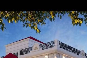 Understanding the MMA Property in Multiplication | Ultimate Guide to MMA: Training, Techniques, and Top Fighters in The World