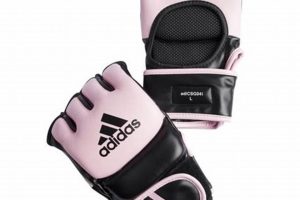 Best MMA Gloves for Women: Top Picks & Guide Ultimate Guide to MMA: Training, Techniques, and Top Fighters in The World Best MMA Gloves for Women: Top Picks & Guide | Ultimate Guide to MMA: Training, Techniques, and Top Fighters in The World