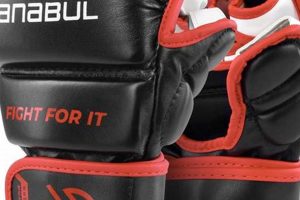 Best Sanabul MMA Sparring Gloves: Top Picks Ultimate Guide to MMA: Training, Techniques, and Top Fighters in The World Best Sanabul MMA Sparring Gloves: Top Picks | Ultimate Guide to MMA: Training, Techniques, and Top Fighters in The World