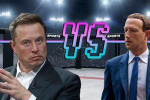 Elon Musk MMA Training & Fight Speculation Ultimate Guide to MMA: Training, Techniques, and Top Fighters in The World Elon Musk MMA Training & Fight Speculation | Ultimate Guide to MMA: Training, Techniques, and Top Fighters in The World