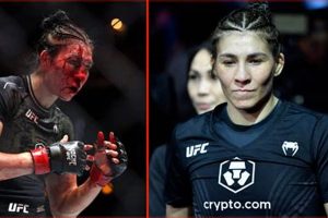 Top 5 Worst Cuts in MMA History: Brutal! Ultimate Guide to MMA: Training, Techniques, and Top Fighters in The World Top 5 Worst Cuts in MMA History: Brutal! | Ultimate Guide to MMA: Training, Techniques, and Top Fighters in The World