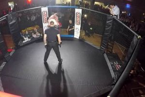 Top Fairbanks MMA Gyms & Training Ultimate Guide to MMA: Training, Techniques, and Top Fighters in The World Top Fairbanks MMA Gyms & Training | Ultimate Guide to MMA: Training, Techniques, and Top Fighters in The World