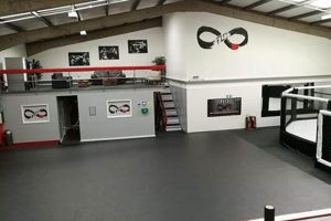 Watch Live & On-Demand Flo MMA Events | Ultimate Guide to MMA: Training, Techniques, and Top Fighters in The World