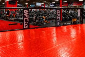 Best MMA Gym in Miami: Train Like a Pro Ultimate Guide to MMA: Training, Techniques, and Top Fighters in The World Best MMA Gym in Miami: Train Like a Pro | Ultimate Guide to MMA: Training, Techniques, and Top Fighters in The World