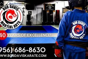 Mma Mcallen Tx Ultimate Guide to MMA: Training, Techniques, and Top Fighters in The World Mma Mcallen Tx | Ultimate Guide to MMA: Training, Techniques, and Top Fighters in The World
