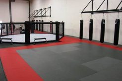 Top MMA Fitness Equipment for Training Ultimate Guide to MMA: Training, Techniques, and Top Fighters in The World Top MMA Fitness Equipment for Training | Ultimate Guide to MMA: Training, Techniques, and Top Fighters in The World