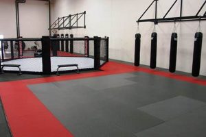 Top MMA Fitness Equipment for Training Ultimate Guide to MMA: Training, Techniques, and Top Fighters in The World Top MMA Fitness Equipment for Training | Ultimate Guide to MMA: Training, Techniques, and Top Fighters in The World