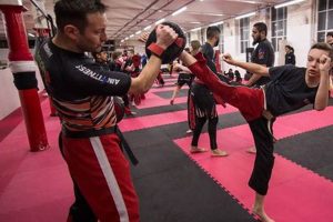 The Ultimate Fusion MMA & Kickboxing Guide Ultimate Guide to MMA: Training, Techniques, and Top Fighters in The World The Ultimate Fusion MMA & Kickboxing Guide | Ultimate Guide to MMA: Training, Techniques, and Top Fighters in The World