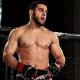 Ali Zebian MMA Fighter: Stats & Bio | Ultimate Guide to MMA: Training, Techniques, and Top Fighters in The World