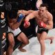 Top Bellator MMA Fighters: Rankings & Profiles | Ultimate Guide to MMA: Training, Techniques, and Top Fighters in The World