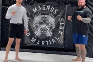 Magnus MMA Training: Tips & Techniques | Ultimate Guide to MMA: Training, Techniques, and Top Fighters in The World