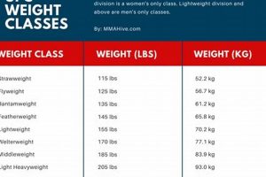 Ultimate Guide to MMA Weight Classes In Order Ultimate Guide to MMA: Training, Techniques, and Top Fighters in The World Ultimate Guide to MMA Weight Classes In Order | Ultimate Guide to MMA: Training, Techniques, and Top Fighters in The World