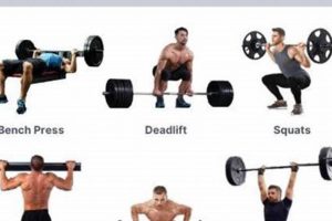 Pro MMA Fighter Training: Ultimate Guide Ultimate Guide to MMA: Training, Techniques, and Top Fighters in The World Pro MMA Fighter Training: Ultimate Guide | Ultimate Guide to MMA: Training, Techniques, and Top Fighters in The World