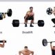 Pro MMA Fighter Training: Ultimate Guide | Ultimate Guide to MMA: Training, Techniques, and Top Fighters in The World