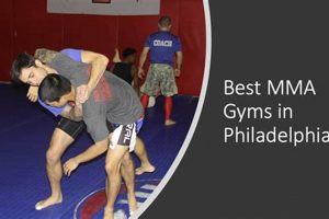 Best MMA Gyms & Training in Philadelphia Ultimate Guide to MMA: Training, Techniques, and Top Fighters in The World Best MMA Gyms & Training in Philadelphia | Ultimate Guide to MMA: Training, Techniques, and Top Fighters in The World
