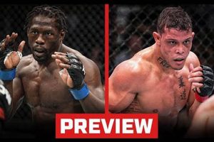Is there a UFC Fight Tonight? Live MMA Schedule Ultimate Guide to MMA: Training, Techniques, and Top Fighters in The World Is there a UFC Fight Tonight? Live MMA Schedule | Ultimate Guide to MMA: Training, Techniques, and Top Fighters in The World