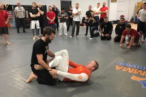 Best MMA Gyms & Training in Cincinnati, Ohio Ultimate Guide to MMA: Training, Techniques, and Top Fighters in The World Best MMA Gyms & Training in Cincinnati, Ohio | Ultimate Guide to MMA: Training, Techniques, and Top Fighters in The World