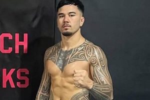 Tragic MMA Fighter Deaths: Remembering the Fallen Ultimate Guide to MMA: Training, Techniques, and Top Fighters in The World Tragic MMA Fighter Deaths: Remembering the Fallen | Ultimate Guide to MMA: Training, Techniques, and Top Fighters in The World