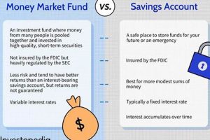 MMA Savings Accounts: Explained Ultimate Guide to MMA: Training, Techniques, and Top Fighters in The World MMA Savings Accounts: Explained | Ultimate Guide to MMA: Training, Techniques, and Top Fighters in The World