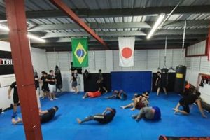 Best MMA Gyms & Training in Puerto Rico Ultimate Guide to MMA: Training, Techniques, and Top Fighters in The World Best MMA Gyms & Training in Puerto Rico | Ultimate Guide to MMA: Training, Techniques, and Top Fighters in The World