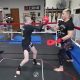 Jackson Glass MMA Fighter Stats & Bio | Ultimate Guide to MMA: Training, Techniques, and Top Fighters in The World