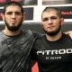 Are Islam & Khabib Brothers? Truth Revealed | Ultimate Guide to MMA: Training, Techniques, and Top Fighters in The World