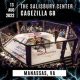 Best MMA Gyms & Training in Manassas, VA | Ultimate Guide to MMA: Training, Techniques, and Top Fighters in The World