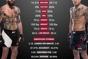MMA Fighter Salary: How Much Per Fight? Ultimate Guide to MMA: Training, Techniques, and Top Fighters in The World MMA Fighter Salary: How Much Per Fight? | Ultimate Guide to MMA: Training, Techniques, and Top Fighters in The World
