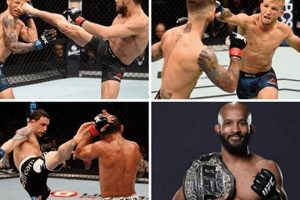 Top Short MMA Fighters: Dominating the Octagon Ultimate Guide to MMA: Training, Techniques, and Top Fighters in The World Top Short MMA Fighters: Dominating the Octagon | Ultimate Guide to MMA: Training, Techniques, and Top Fighters in The World
