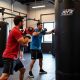 Best MMA Gyms &amp; Training in Des Moines | Ultimate Guide to MMA: Training, Techniques, and Top Fighters in The World