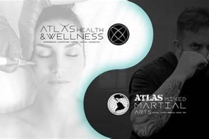 Train Smarter, Fight Better: Atlas Wellness & MMA Ultimate Guide to MMA: Training, Techniques, and Top Fighters in The World Train Smarter, Fight Better: Atlas Wellness & MMA | Ultimate Guide to MMA: Training, Techniques, and Top Fighters in The World