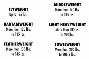 Official MMA Weight Classes & Divisions Guide Ultimate Guide to MMA: Training, Techniques, and Top Fighters in The World Official MMA Weight Classes & Divisions Guide | Ultimate Guide to MMA: Training, Techniques, and Top Fighters in The World