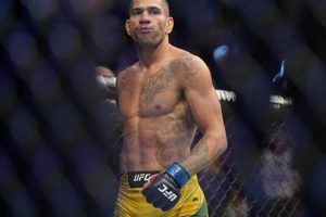 UFC's Alex Pereira: MMA Knockout King Ultimate Guide to MMA: Training, Techniques, and Top Fighters in The World UFC's Alex Pereira: MMA Knockout King | Ultimate Guide to MMA: Training, Techniques, and Top Fighters in The World