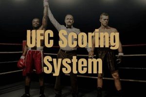 Ultimate MMA Terminology Guide for Beginners | Ultimate Guide to MMA: Training, Techniques, and Top Fighters in The World