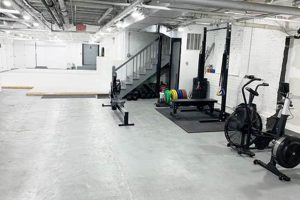 Best MMA Gyms in Boston, MA: Top Picks Ultimate Guide to MMA: Training, Techniques, and Top Fighters in The World Best MMA Gyms in Boston, MA: Top Picks | Ultimate Guide to MMA: Training, Techniques, and Top Fighters in The World